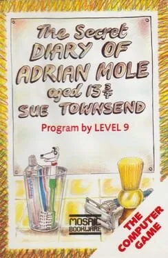 The Secret Diary of Adrian Mole Aged 13 3/4 (C64)