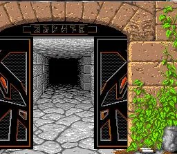 Dungeon Master (AMIGA)