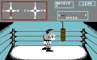 Fight Night