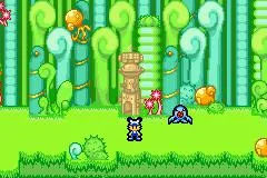 Tomato Adventure