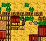 Harvest Moon GB (GBC)