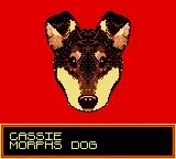 Animorphs (GBC)