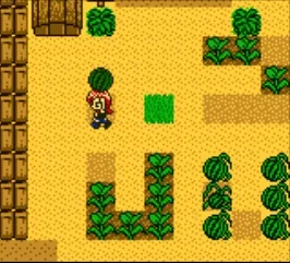 Harvest Moon 2 GBC (1999) (GBC)