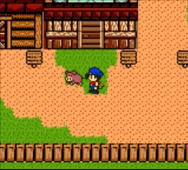Harvest Moon 3 GBC (2000) (GBC)