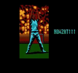 International Cricket (NES)