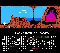 Toki (NES)