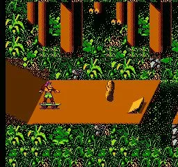 Town & Country II: Thrilla's Surfari (NES)