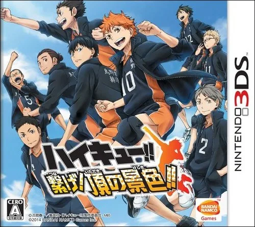 Haikyu!! Tsunage! Itadaki no Keshiki!! (3DS)