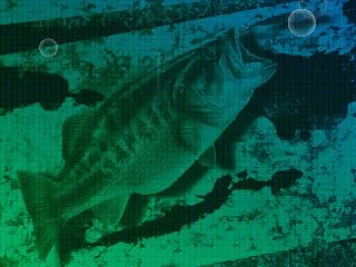 Angler's Club: Ultimate Bass Fishing 3D (3DS)