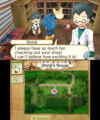 Hometown Story (3DS)