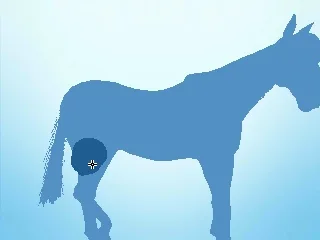 My Riding Stables 3D - Jumping for the Team (3DS)