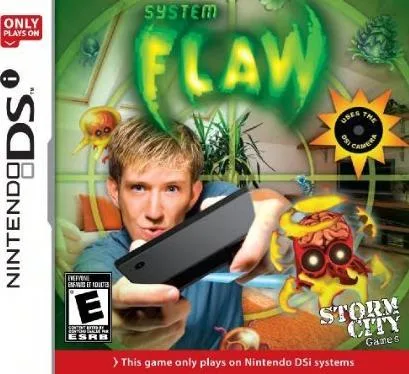 System: Flaw (NDS)