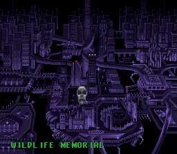 Phantom 2040