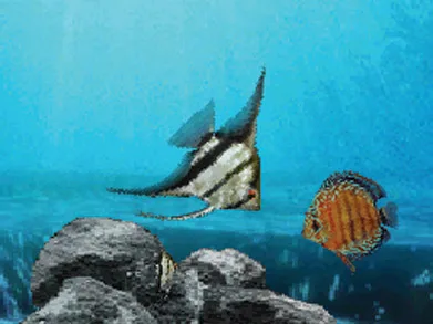 Aquarium