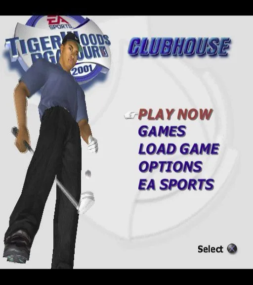 Tiger Woods PGA Tour 2001