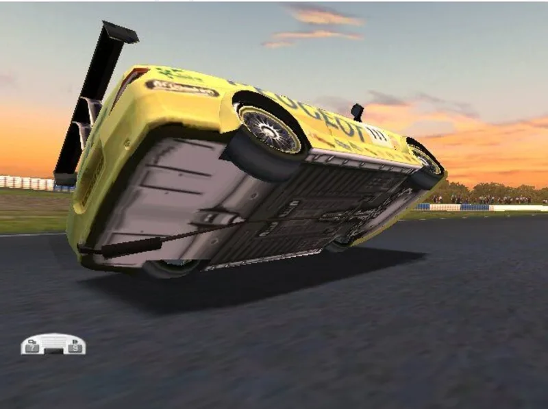 Pro Race Driver