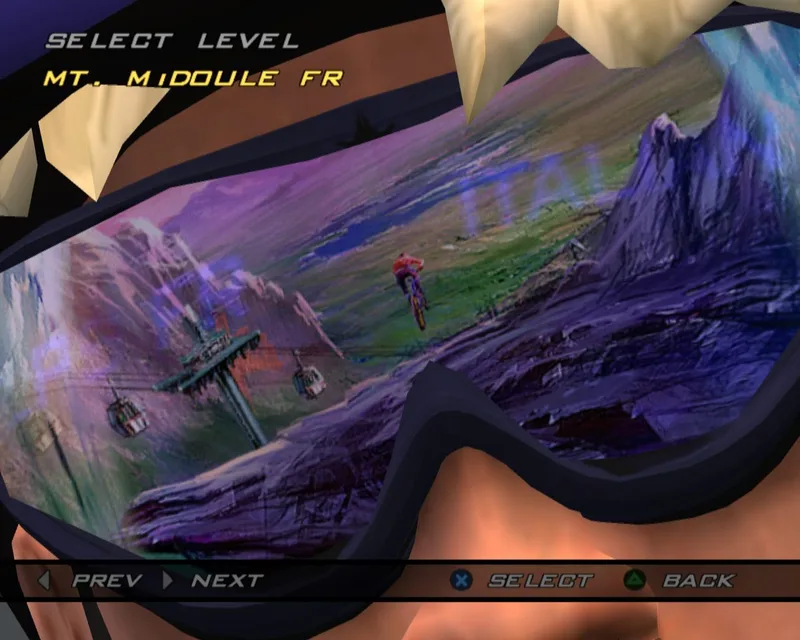 Downhill Domination (PS2)