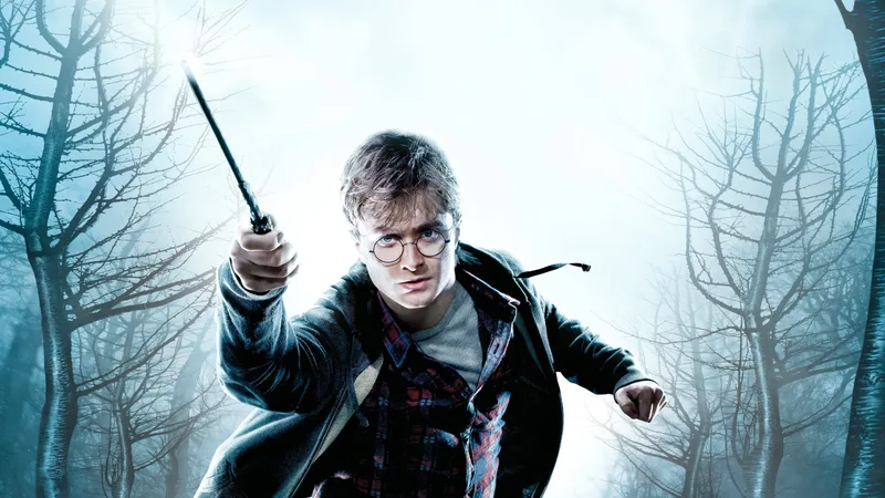 Harry Potter and the Deathly Hallows: Part 1 (PS3)