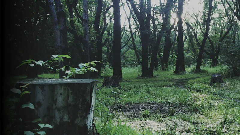 P.T. (PS4)