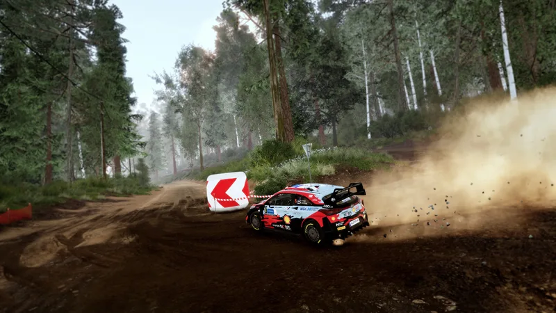 WRC 10 FIA World Rally Championship (PS5)