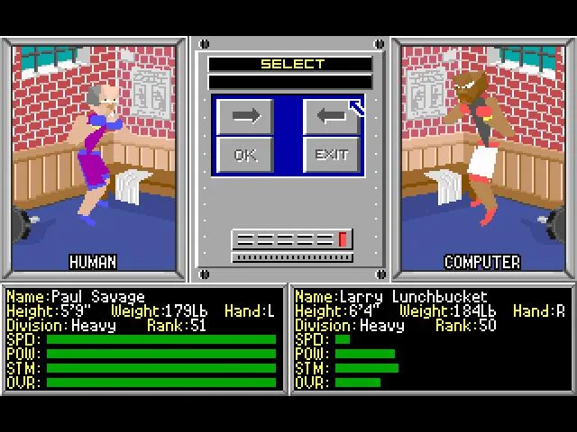 4D Sports Boxing (GEN)