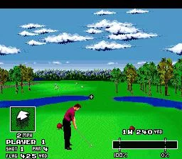 World Masters Golf (SNES)