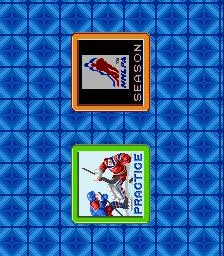 Pro Sport Hockey (SNES)