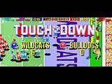 Tecmo Bowl (WII)