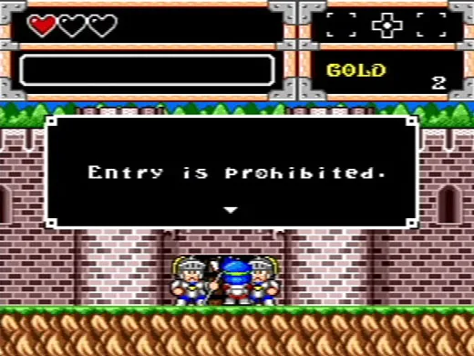 WONDER BOY IN MONSTER WORLD (WII)