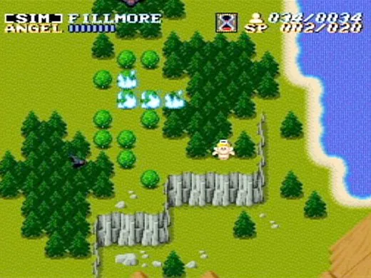 ActRaiser (WII)