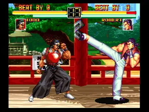 ART OF FIGHTING