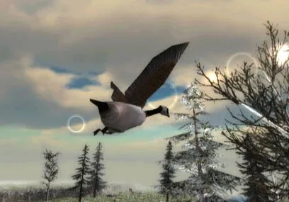North American Hunting Extravaganza (WII)