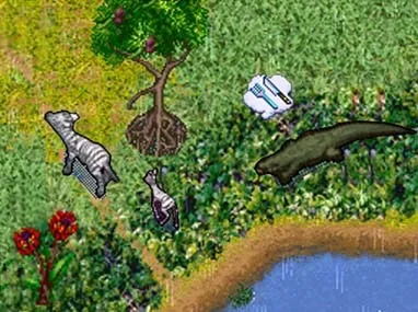 SimAnimals Africa (WII)