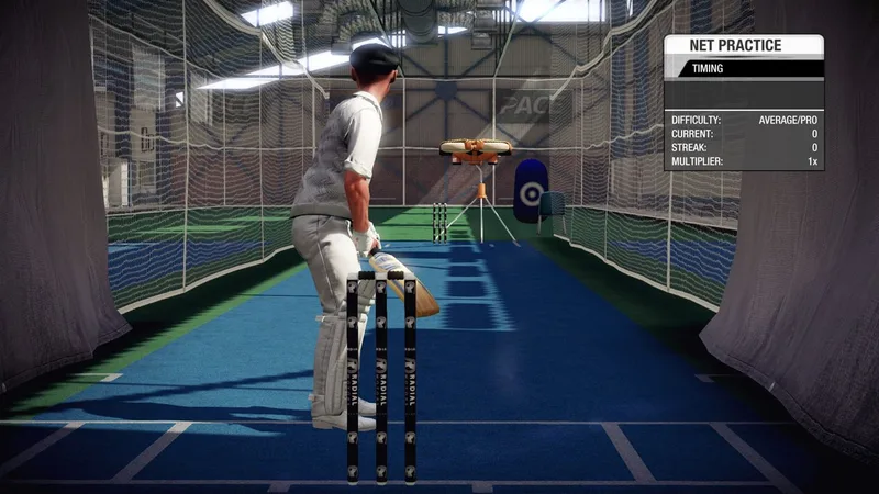 Don Bradman Cricket (XONE)