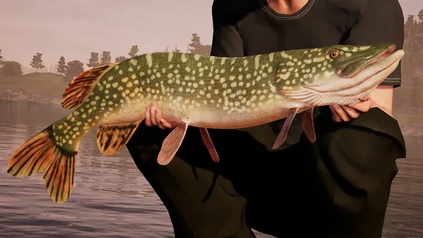 Fishing Sim World (XONE)